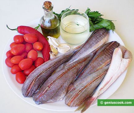 Cocos de mare în stil napolitană, feluri de mâncare și pește de fructe de mare, preparate ingenioase de gătit