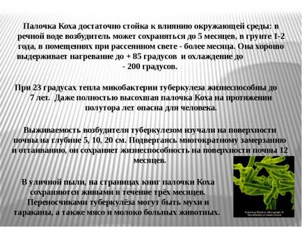 Este posibil să se vindece complet tuberculoza cu medicamente și remedii folclorice, nutriție, prevenire,