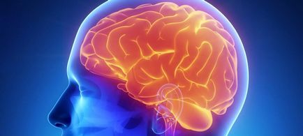 MRI a gerinc és a gerincvelő, docclinic (agy) MRI a gerinc és a gerincvelő, docclinic