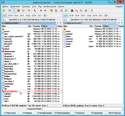 Configurarea apache, serverul virtual apache de pe computerul de acasă local