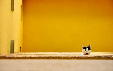 Spațiu negativ în fotografie (arhitectura curentului de sculptură) Spațiu negativ în fotografie
