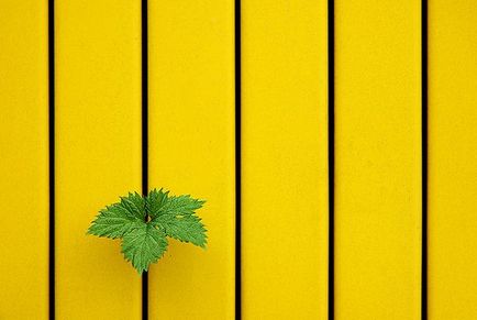 Spațiu negativ în fotografie (înăuntru) Spațiu negativ în fotografie