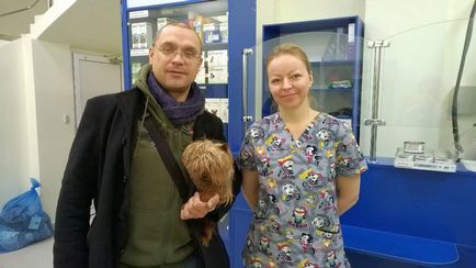 O nouă clinică veterinară modernă a fost deschisă lângă verdeață, verdeață, știri