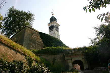 Ce să vezi și cum să ajungi la Novi Sad