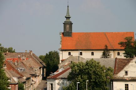 Ce să vezi și cum să ajungi la Novi Sad