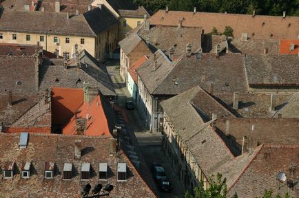 Ce să vezi și cum să ajungi la Novi Sad