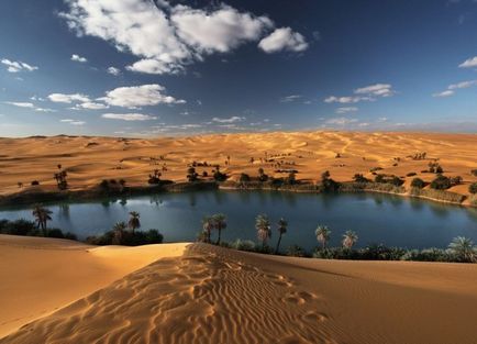 Оазис в пустелі