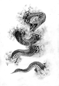 Imagini ale scorpionului