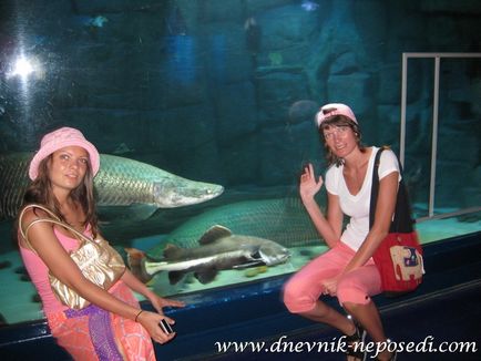 Океанаріум underwater world pattaya в Паттайя, щоденник непосиди