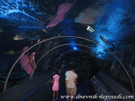 Oceanarium underwater pattaya lume în pattaya, jurnal de non-întâlnire