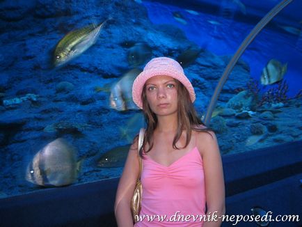 Oceanarium underwater pattaya lume în pattaya, jurnal de non-întâlnire