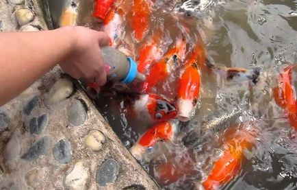 Oceanarium în Pattaya