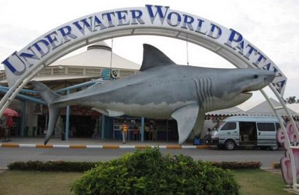 Oceanarium în Pattaya cum să ajungi acolo, preț, fotografie
