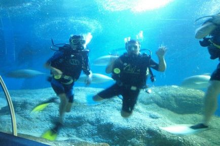 Oceanarium în Pattaya cum să ajungi acolo, preț, fotografie