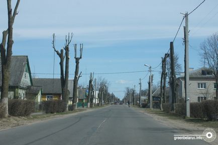 Омолоджуюча обрізка в місті навіщо нам дерева «під телеграфний стовп»