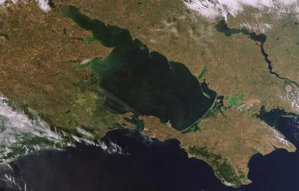 Опис азовського моря площа, глибина і тваринний світ