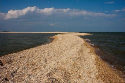 Опис азовського моря площа, глибина і тваринний світ