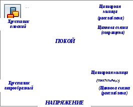 Sistem optic al ochiului