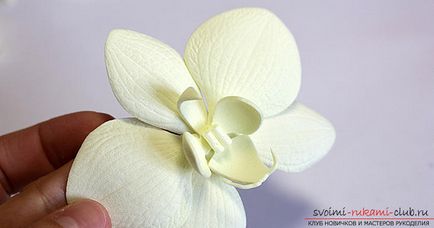 Орхідеї фаленопсис для прикрас з фоамірана своїми руками можуть зробити і початківці майстрині