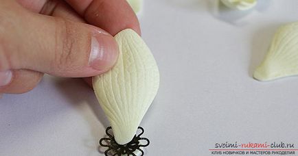 Орхідеї фаленопсис для прикрас з фоамірана своїми руками можуть зробити і початківці майстрині