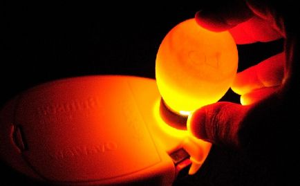 Válogatás a tojás tálcák keltető lámpázást, fotók és ajánlások