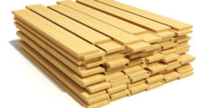 Від чого залежить щільність деревини - таблиця і рекомендації