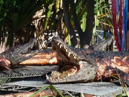 Odihnă în Varadero 2011 - sandale de hotel regal hicacos 5, recenzie la