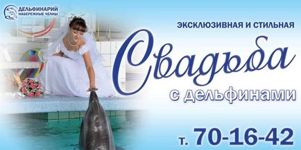 Hogy megünnepeljük egy esküvő a dolphinarium Naberezhnye Chelny