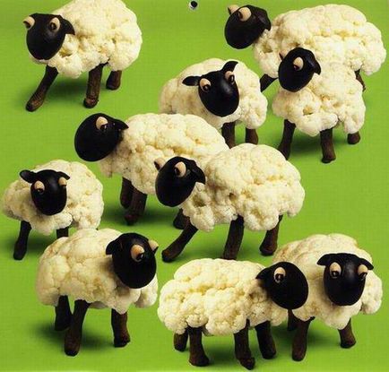 Lamb karfiol - hack, kedves mindenki (bárány karfiol) Lamb karfiol - hack, kedves minden