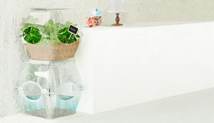 Veteményeskert aqualibrium - friss zöldségek a hazai (feltételek) Veteményeskert aqualibrium - friss zöldségek otthon