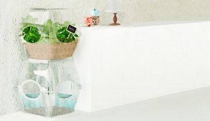 Veteményeskert aqualibrium - friss zöldségek otthon (friss) Veteményeskert aqualibrium - friss zöldségek otthon