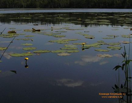 Lacul Pike, un site dedicat turismului și călătoriilor