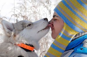 Паразити в мозку людини симптоми, лікування, профілактика