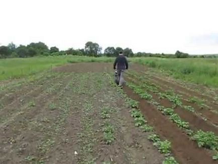 Arat cu un mol de cultivator