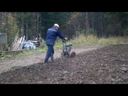 Arătarea cu un mol de cultivator (mediu) Arat cu un mol de cultivator