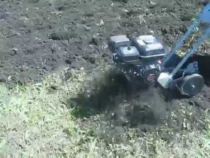 Arătarea cu un mol de cultivator (arat cu o știri globale de cultivator) Arat cu un mol de cultivator