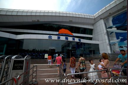 Beijing Zoo, un jurnal de neparticipare