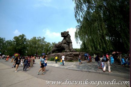 Beijing Zoo, un jurnal de neparticipare