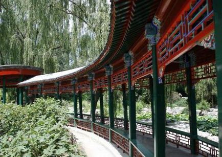 Descriere Zoo Beijing, ore de deschidere, cum să obțineți, recenzii