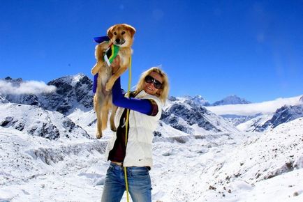 Пес-альпініст неймовірна історія дворняги, яка підкорила еверест