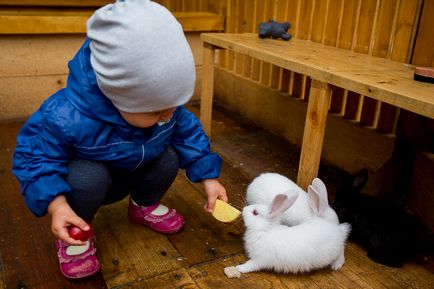 Пішохідно-похідний туризм в Примор'я вершини гір, містичні печери і чарівні пейзажі