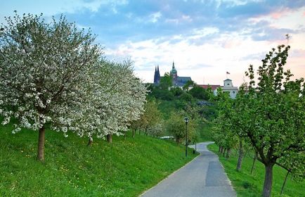 Петршінскій пагорб