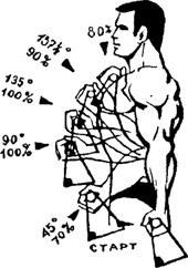 Peak csökkenése testépítés - test Iskola - testépítés, sport, fitness