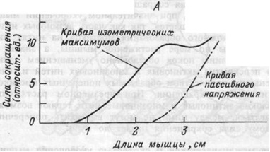 Пікове скорочення в бодібілдингу - школа тіла - бодібілдинг, спорт, фітнес