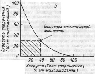 Пікове скорочення в бодібілдингу - школа тіла - бодібілдинг, спорт, фітнес