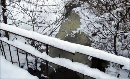 Харчування в зимовому лісі без рушниці