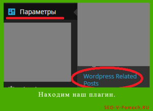 Wordpress plugin-uri legate de posturi 3