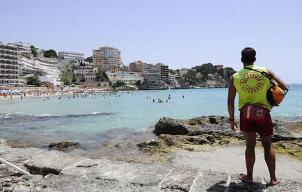 Пляжі іспанії атакують небезпечні акули - літо 2017