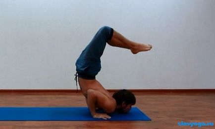 Pregătirea pentru scorpion (urdhwaikapada vrishikasana), yoga, slavyoga