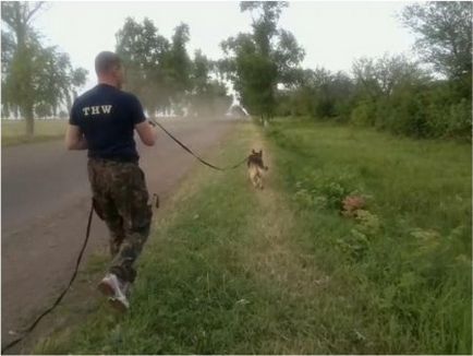 Підготовка слідів собак за методом до